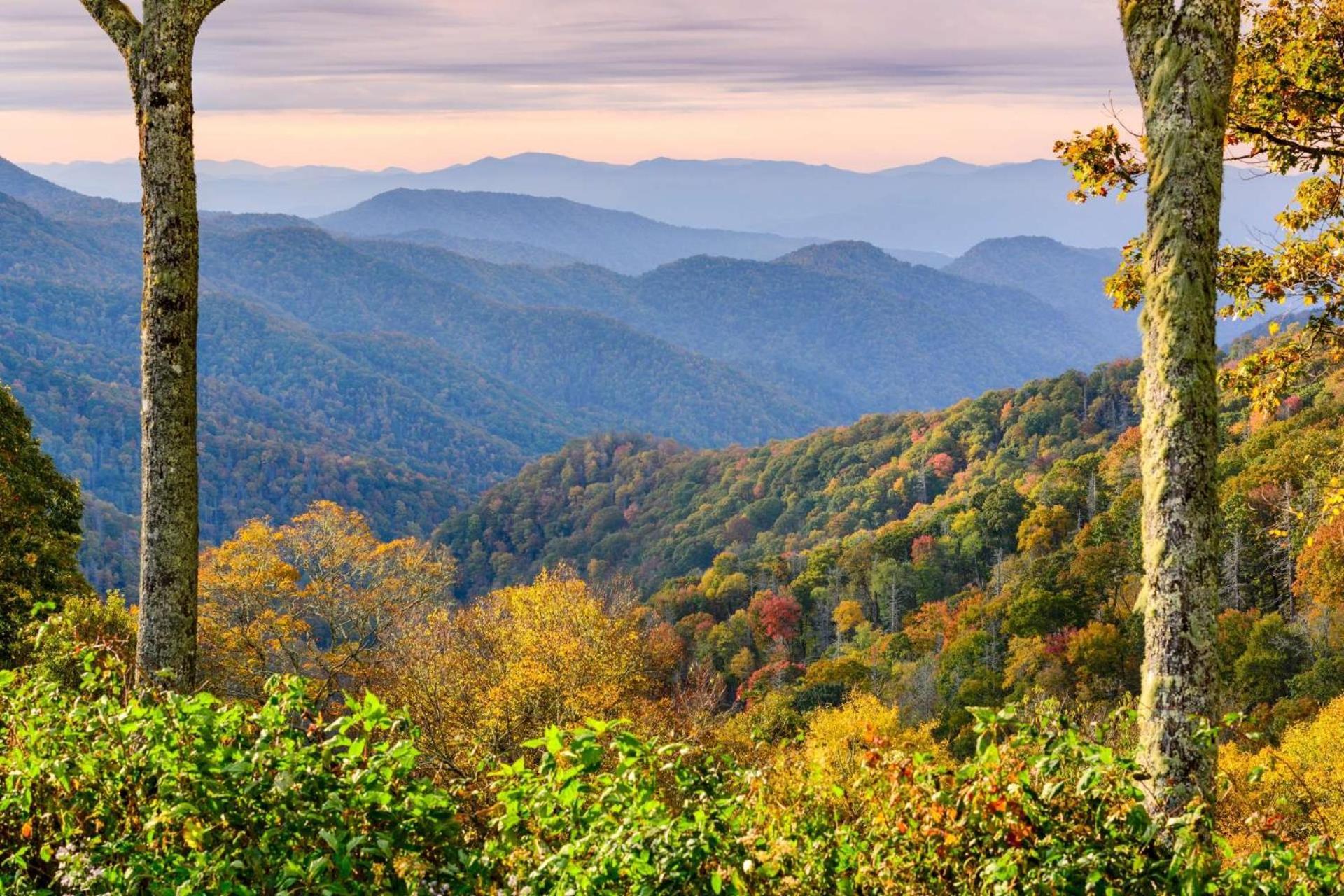 Knot A Kabin Pigeon Forge Bagian luar foto
