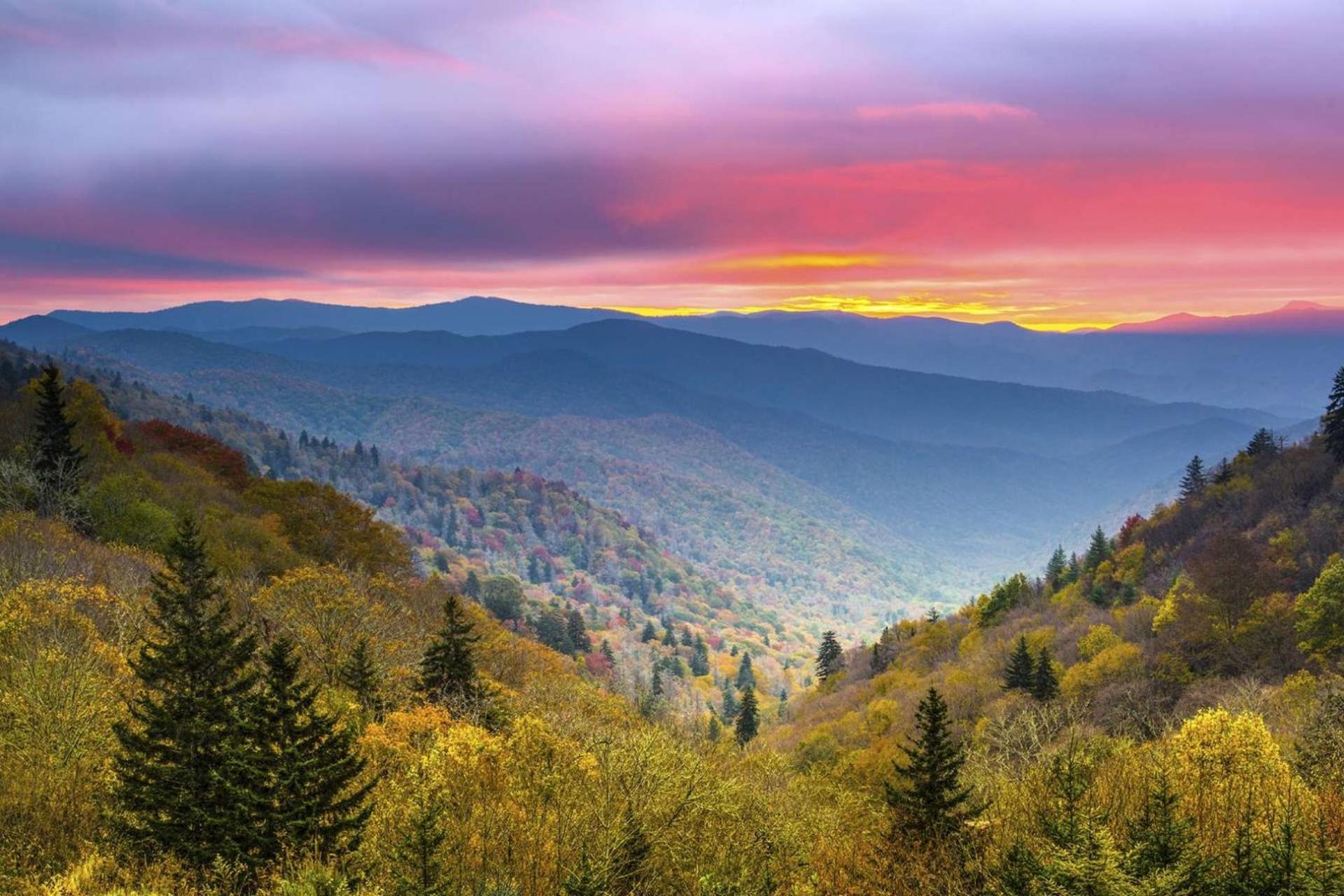 Knot A Kabin Pigeon Forge Bagian luar foto