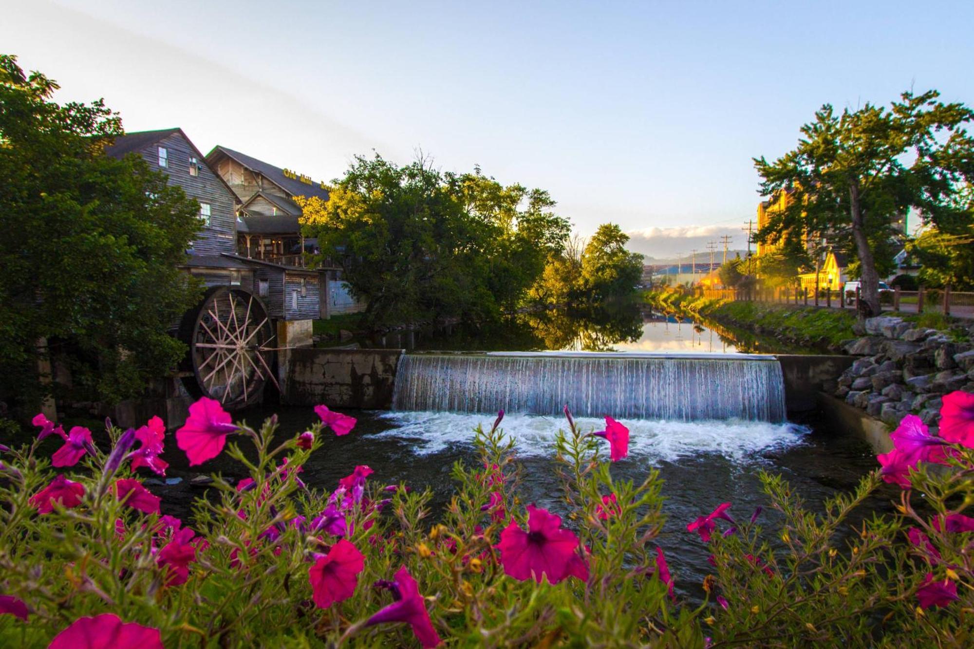 Knot A Kabin Pigeon Forge Bagian luar foto